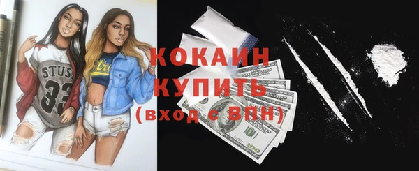 прущие грибы Кинешма