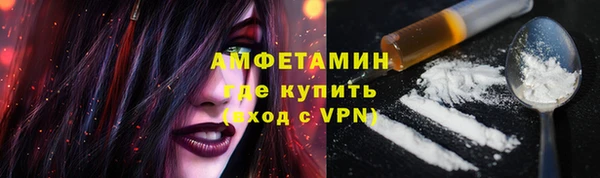 прущие грибы Кинешма