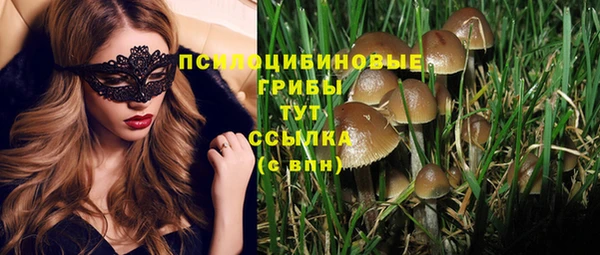a pvp Киреевск