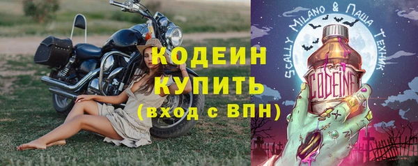 прущие грибы Кинешма