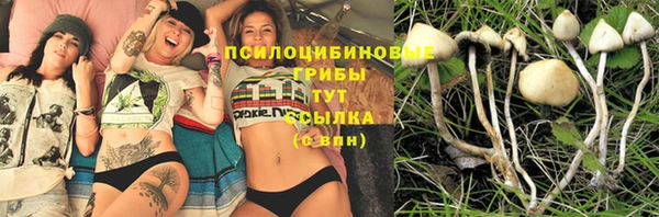 прущие грибы Кинешма
