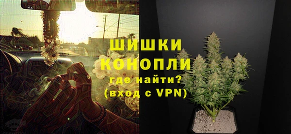 прущие грибы Кинешма