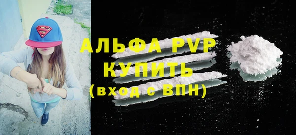 прущие грибы Кинешма