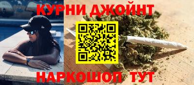 гидропоника Гусев