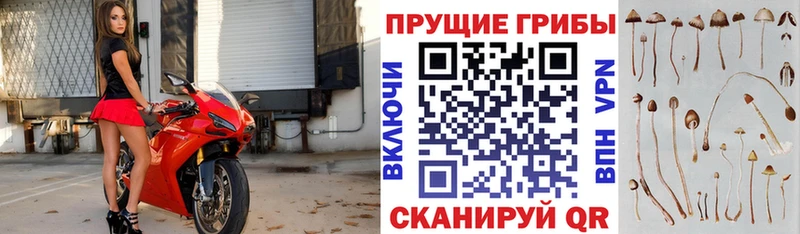 Галлюциногенные грибы GOLDEN TEACHER  Егорьевск 